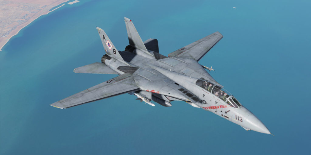 Heatblur Simulations F-14 Tomcat Release