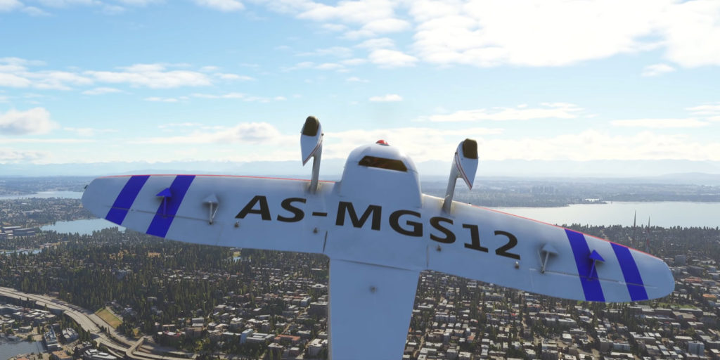 Microsoft Flight Simulator 2020 – CAP 10